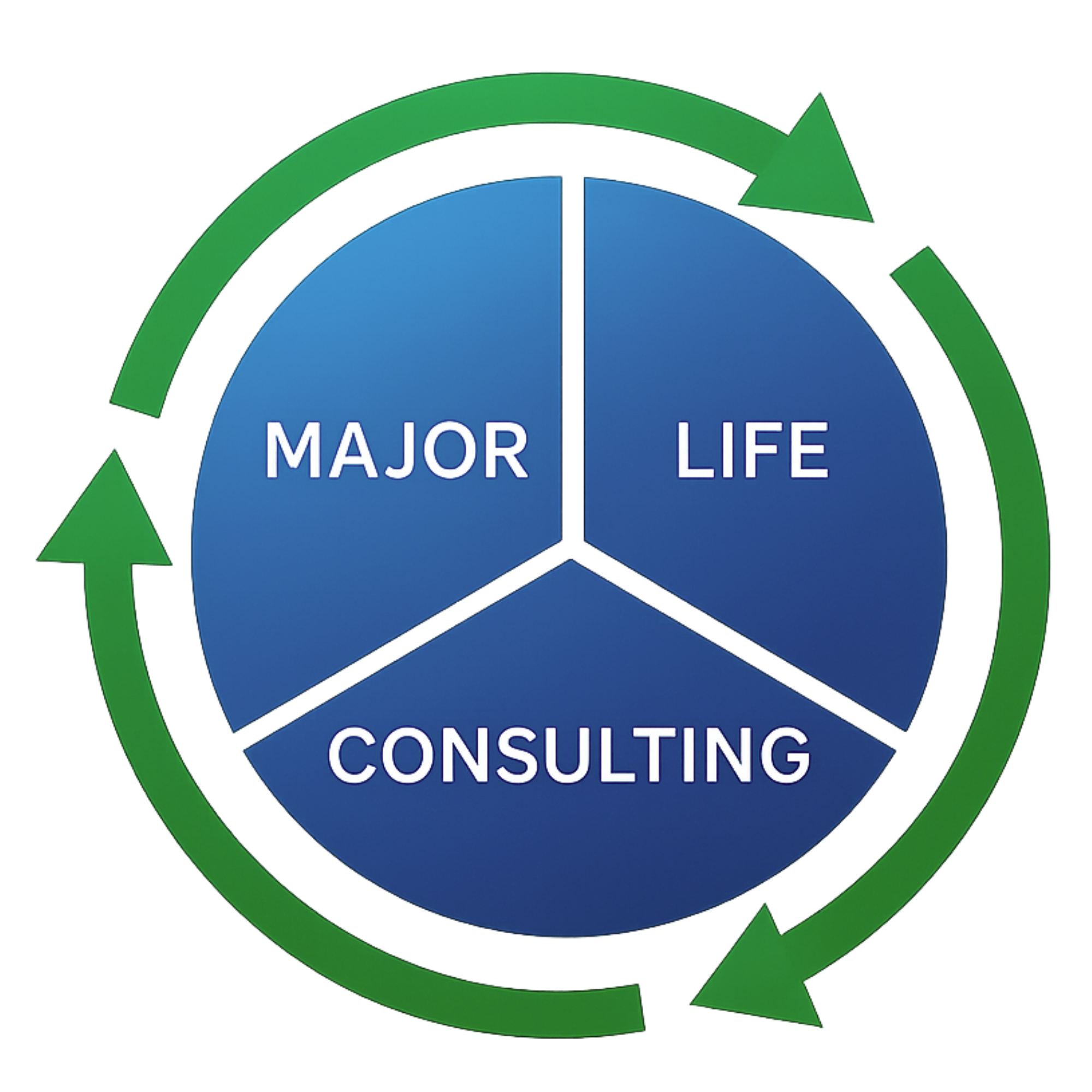 Major Life Consulting